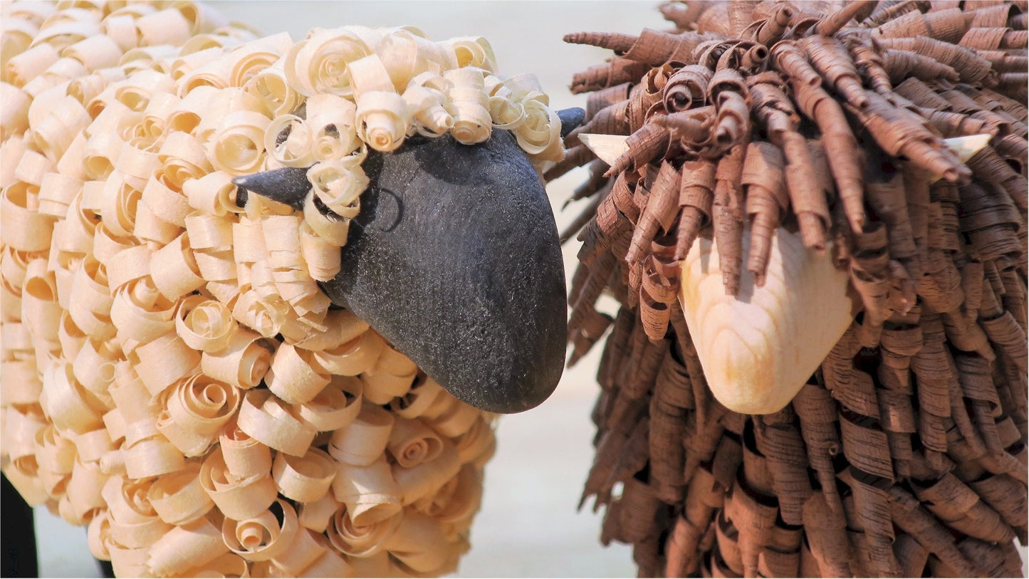 Sheep From Shavings Plan