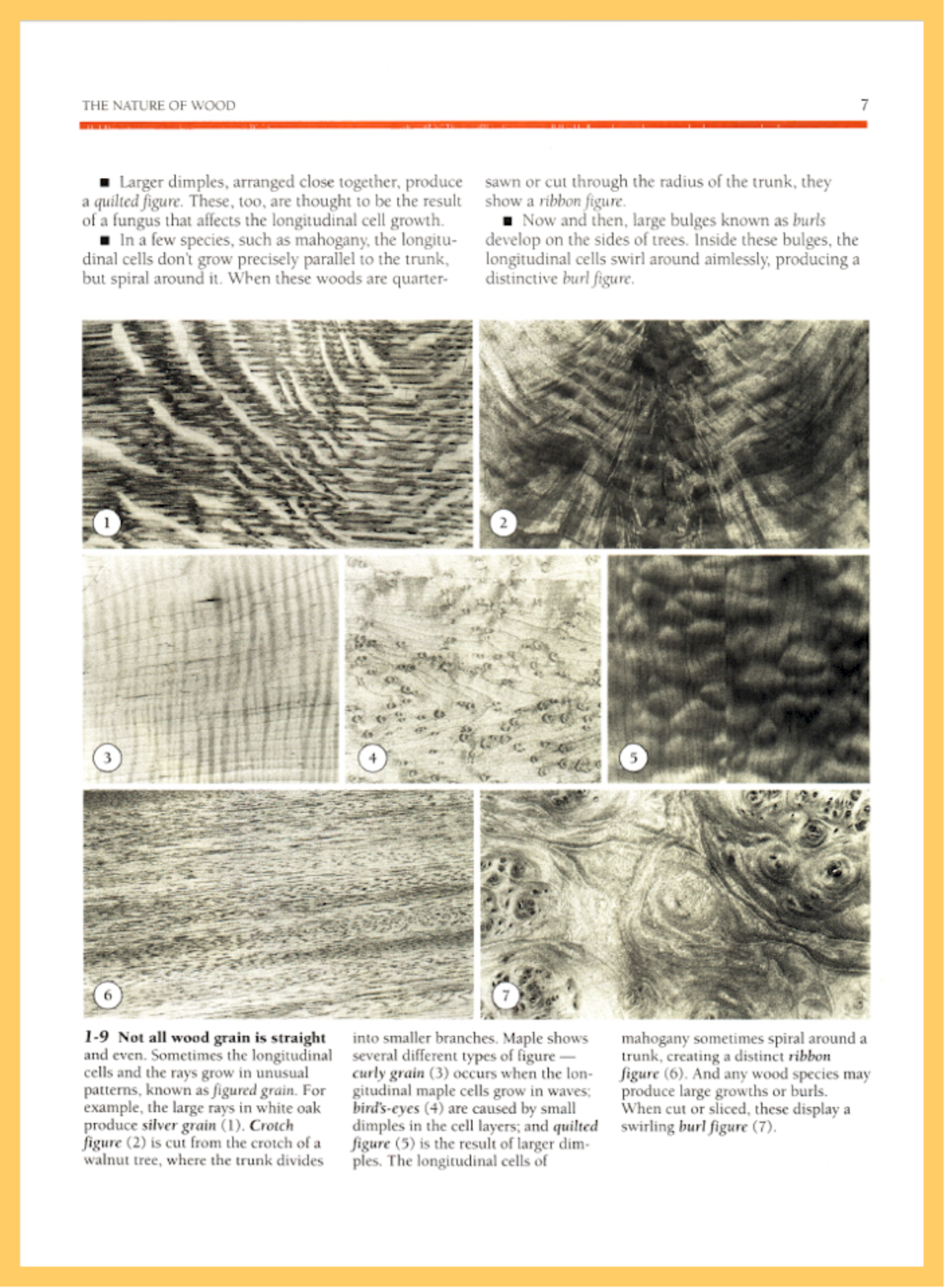 Wood and Woodworking Materials